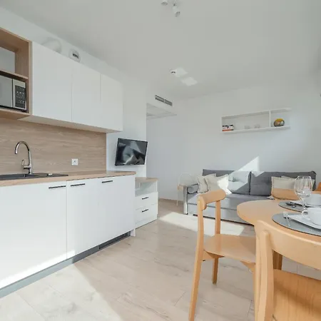 Comfortable Studio Dyrekcyjna By Renters Wroclaw